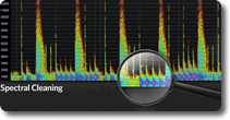 Sequoia High End Daw Bild 6